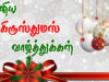 Happy-Merry-Christmas-Whatsapp-Status-Message (12)