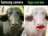 Samsung Camera vs Vivo oppo Camera