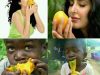 mango eating