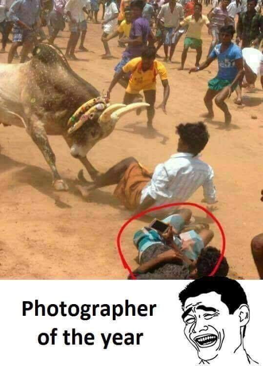 photographer of the year