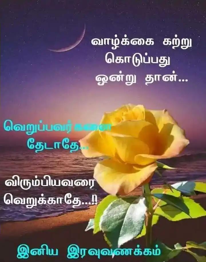 Life Quote Good Morning